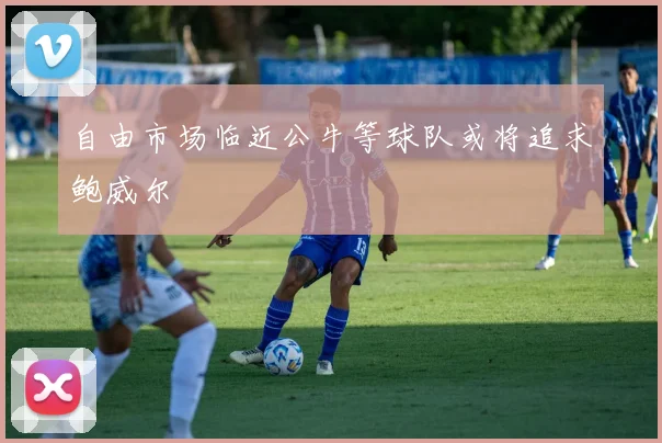 自由市场临近公牛等球队或将追求鲍威尔